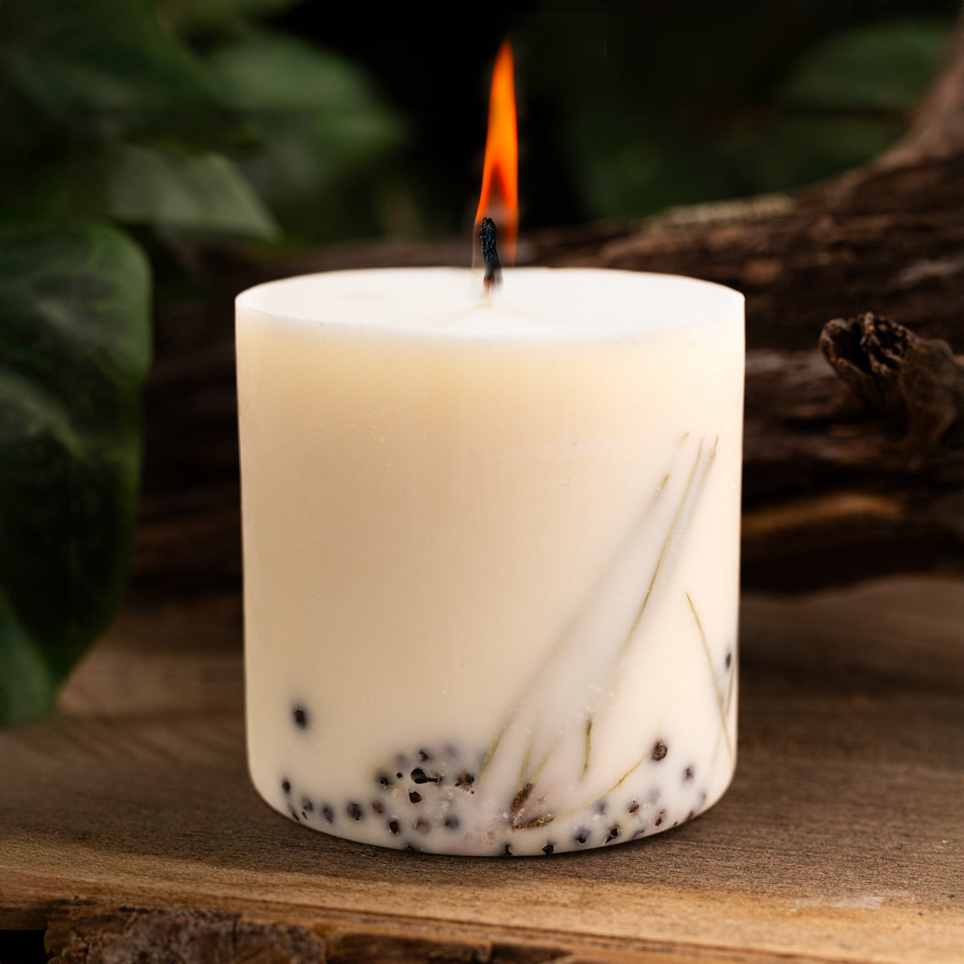 Soy Wax Candle, Juniper, Large