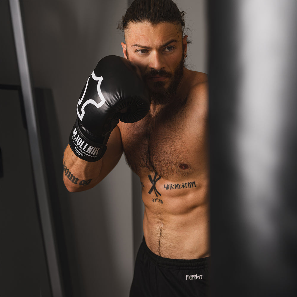 VIKING FIGHT GEAR ボクシンググローブ 10oz – Gloves ボクシンググローブ