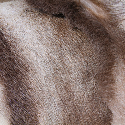 Skin & Leather - Scandinavian Reindeer Skin, Indoor - Grimfrost.com