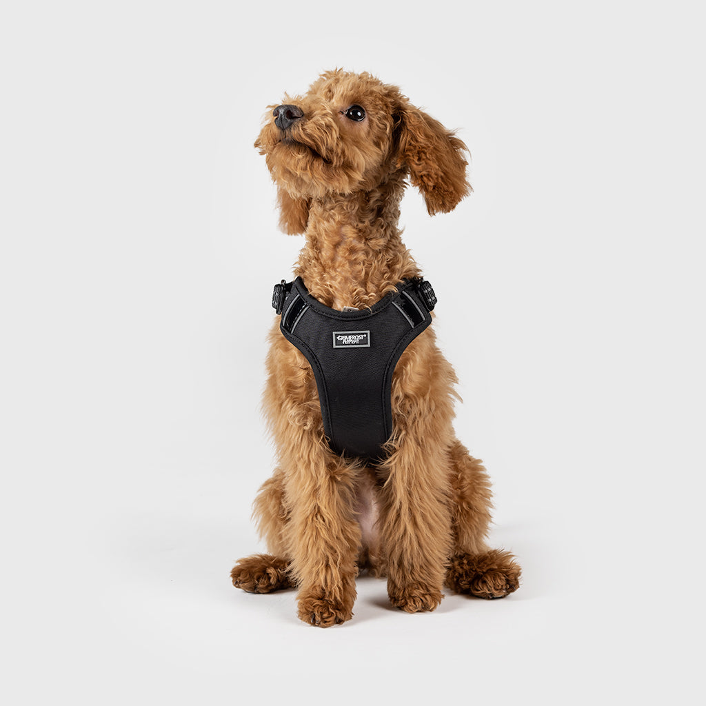 Swat shops dog harness