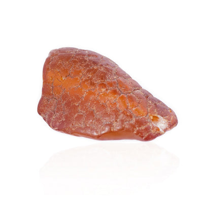 Amber Beads - Amber Stone Bead, Natural Dark - Grimfrost.com